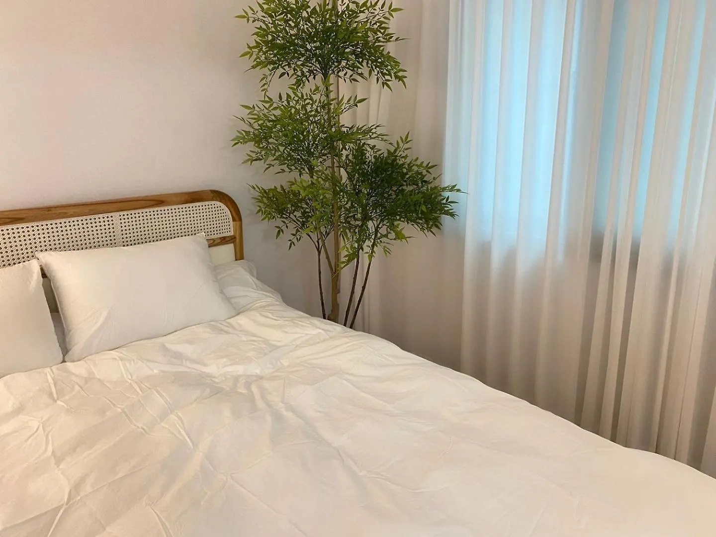 住宿加早餐酒店 Stay U 首爾 韩国
